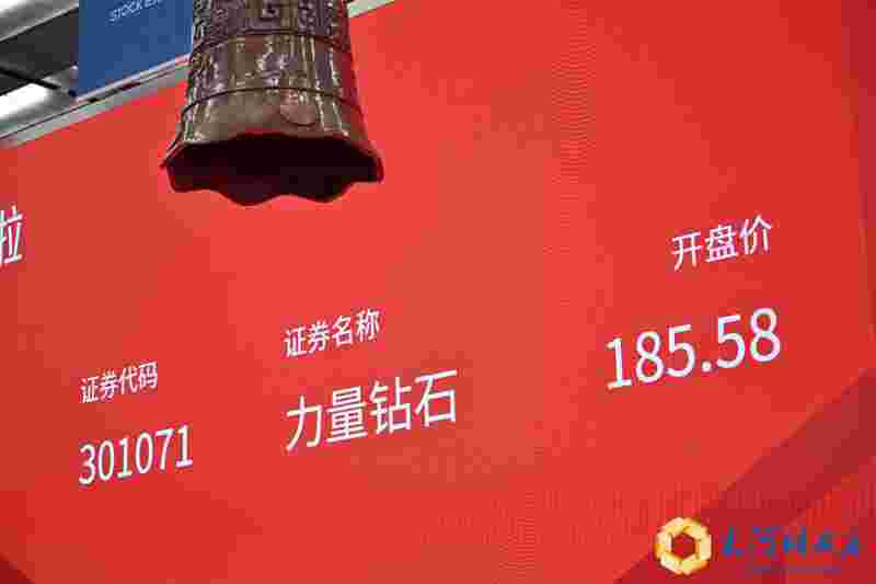 力量钻石集团董事长简历,力量钻石股份有限公司做什么产品-第2张图片-翡翠网