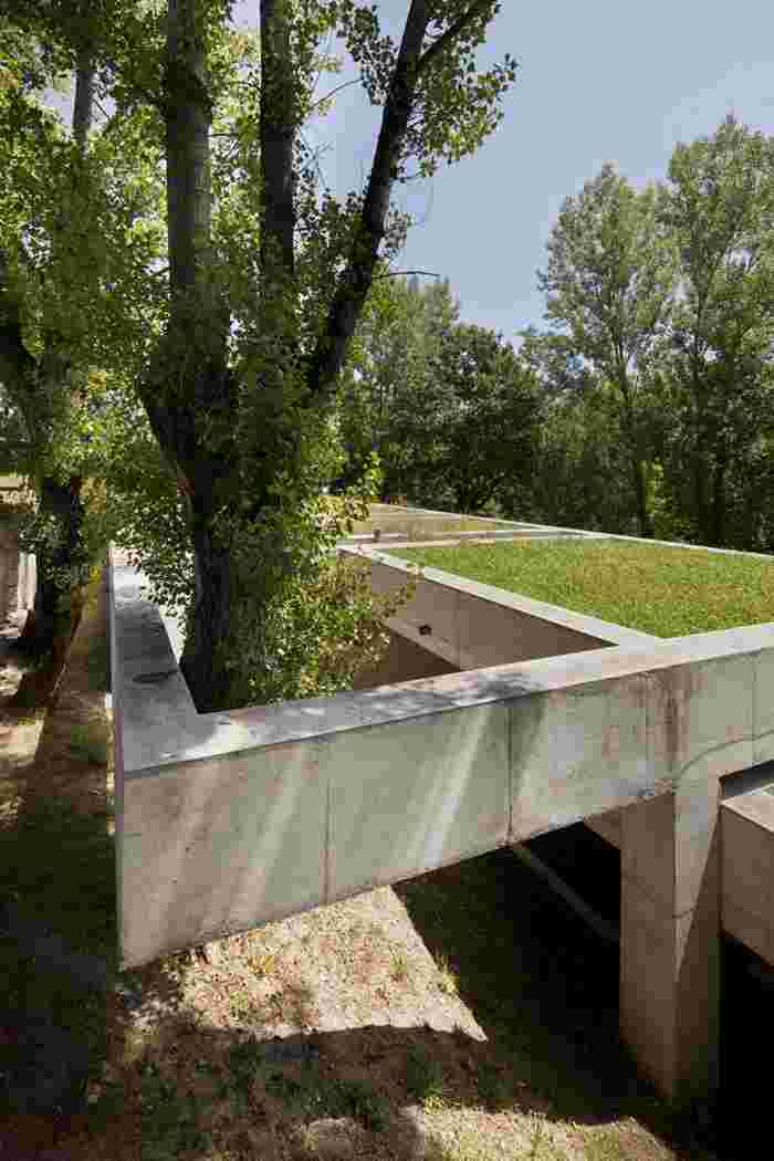 dejavufiberwig的简单介绍-第1张图片-翡翠网 dejavufiberwig的简单介绍-第1张图片-翡翠网