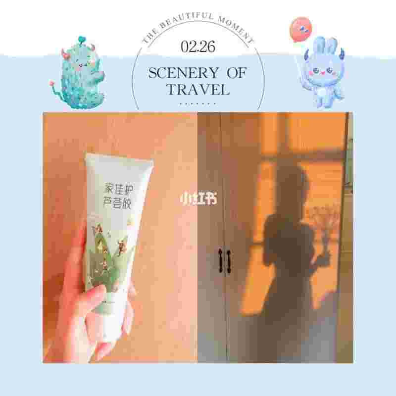 赛维芦荟胶成分表,赛维极品芦荟胶-第1张图片-翡翠网