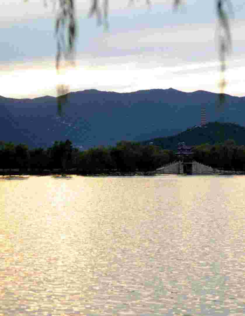 抚柔,抚柔天然植物-第1张图片-翡翠网 抚柔,抚柔天然植物-第1张图片-翡翠网