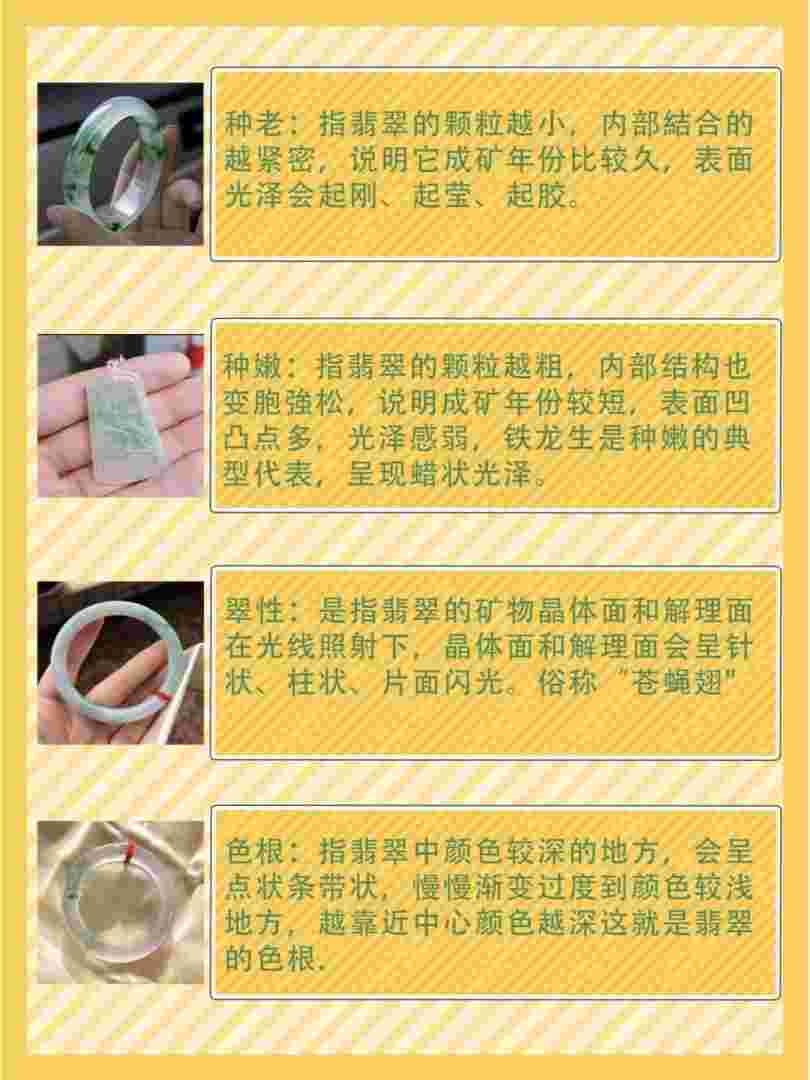 翡翠常识,翡翠常识话语-第1张图片-翡翠网