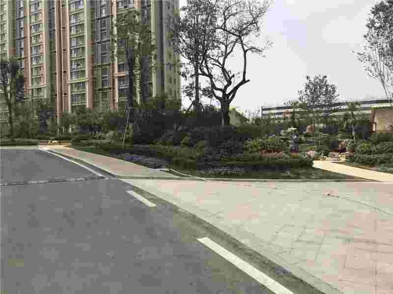 翡翠传奇贵阳 翡翠传奇-第2张图片-翡翠网 翡翠传奇贵阳 翡翠传奇-第2张图片-翡翠网