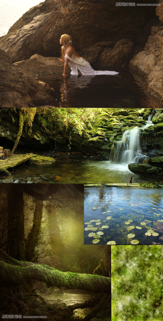 翡翠森林狼与羊是爱情吗,翡翠森林-第2张图片-翡翠网 翡翠森林狼与羊是爱情吗,翡翠森林-第2张图片-翡翠网