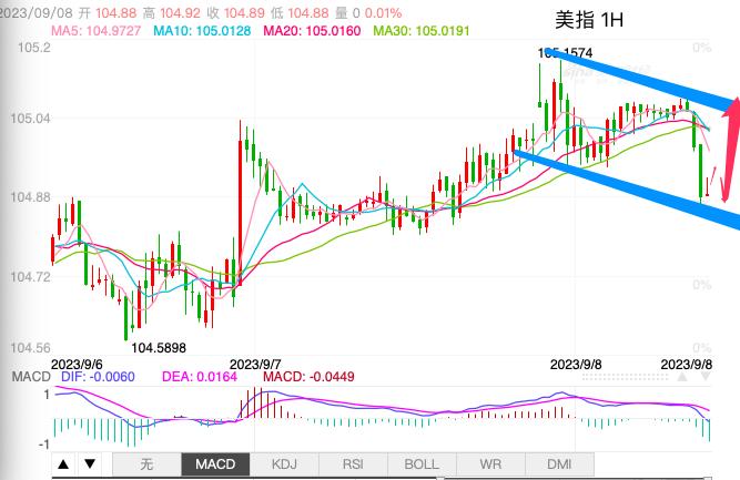 主次节奏：美指旗形中继下沿获支撑，继续上行-第1张图片-翡翠网