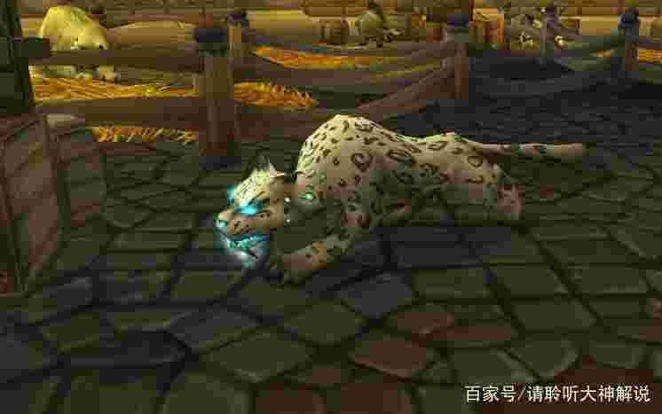 翡翠林灵魂兽翡翠林灵魂兽坐标-第1张图片-翡翠网 翡翠林灵魂兽翡翠林灵魂兽坐标-第1张图片-翡翠网