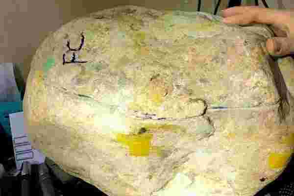 翡翠原石八大场口资料,翡翠原石八大场口-第2张图片-翡翠网 翡翠原石八大场口资料,翡翠原石八大场口-第2张图片-翡翠网