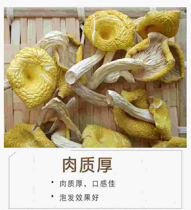 黄金菇怎么保存黄金菇-第1张图片-翡翠网