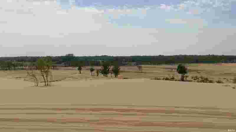 关于翡翠岛之熬鹰的信息-第1张图片-翡翠网