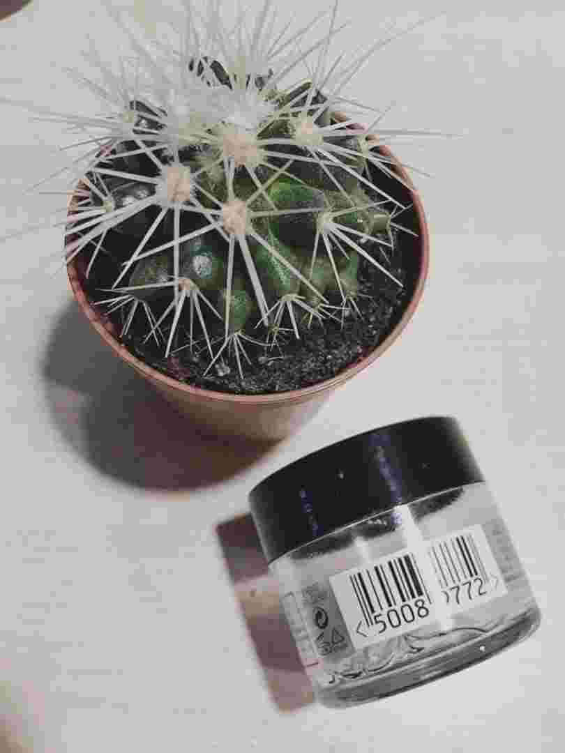 接骨木眼霜配方接骨木眼霜-第2张图片-翡翠网 接骨木眼霜配方接骨木眼霜-第2张图片-翡翠网