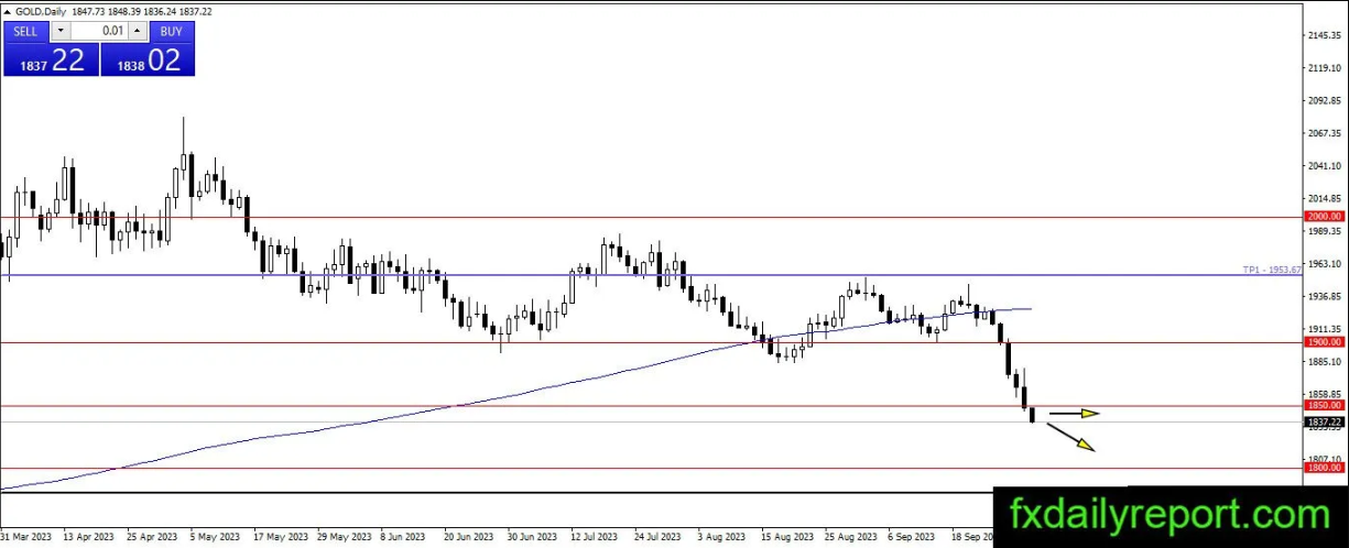 美国劳动力市场依旧强劲 美债收益率飙升打压贵金属价格 原油进一步下跌前回调-第1张图片-翡翠网