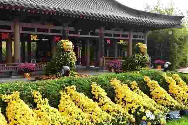 满城尽带黄金甲简介,电影满城尽带黄金甲简介-第2张图片-翡翠网 满城尽带黄金甲简介,电影满城尽带黄金甲简介-第2张图片-翡翠网