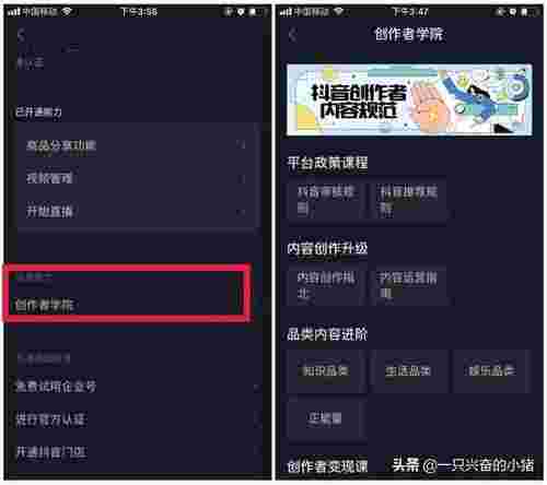 抖音客服电话24小时人工服务热线号码是多少号抖音客服电话24小时人工服务热线号码是多少-第2张图片-翡翠网 抖音客服电话24小时人工服务热线号码是多少号抖音客服电话24小时人工服务热线号码是多少-第2张图片-翡翠网