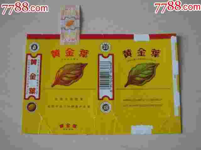 黄金芽茶叶产地是哪里,黄金叶产地-第1张图片-翡翠网