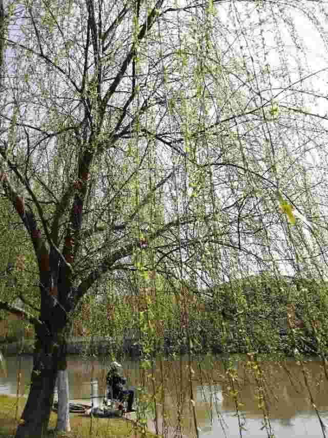 哈莉贝瑞拥抱艳阳天无删减版拥抱艳阳天-第2张图片-翡翠网 哈莉贝瑞拥抱艳阳天无删减版拥抱艳阳天-第2张图片-翡翠网