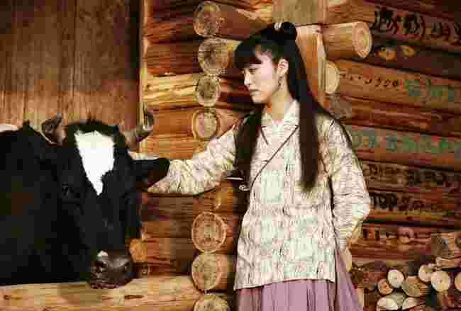 武林外传黄金十二宫任务,武林外传黄金十二宫-第1张图片-翡翠网