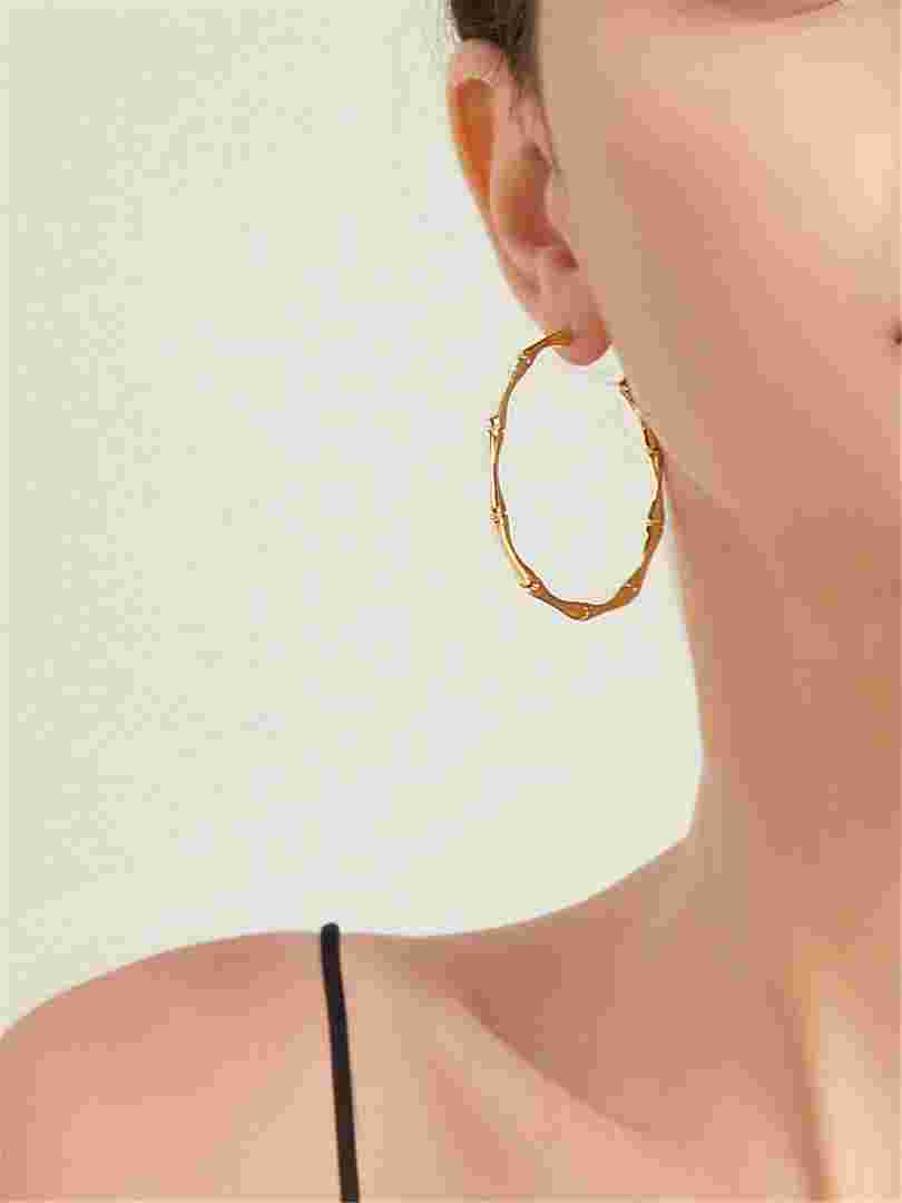 金耳环剧情介绍金耳环13集-第1张图片-翡翠网