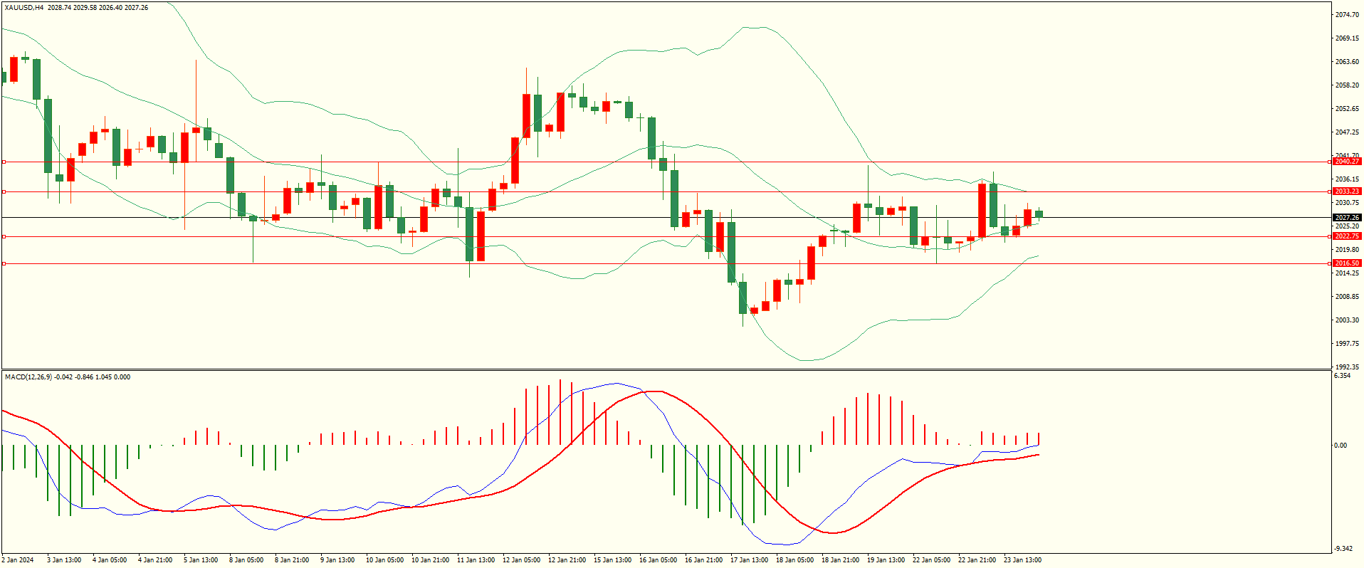栾雪 1月24日走势分析及建议-第4张图片-翡翠网 栾雪 1月24日走势分析及建议-第4张图片-翡翠网