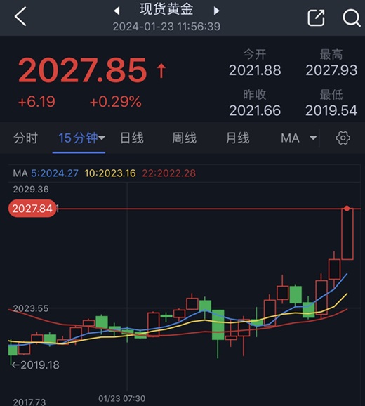 黄金短线突然急涨！金价逼近2030美元 FXStreet首席分析师黄金技术前景分析-第1张图片-翡翠网