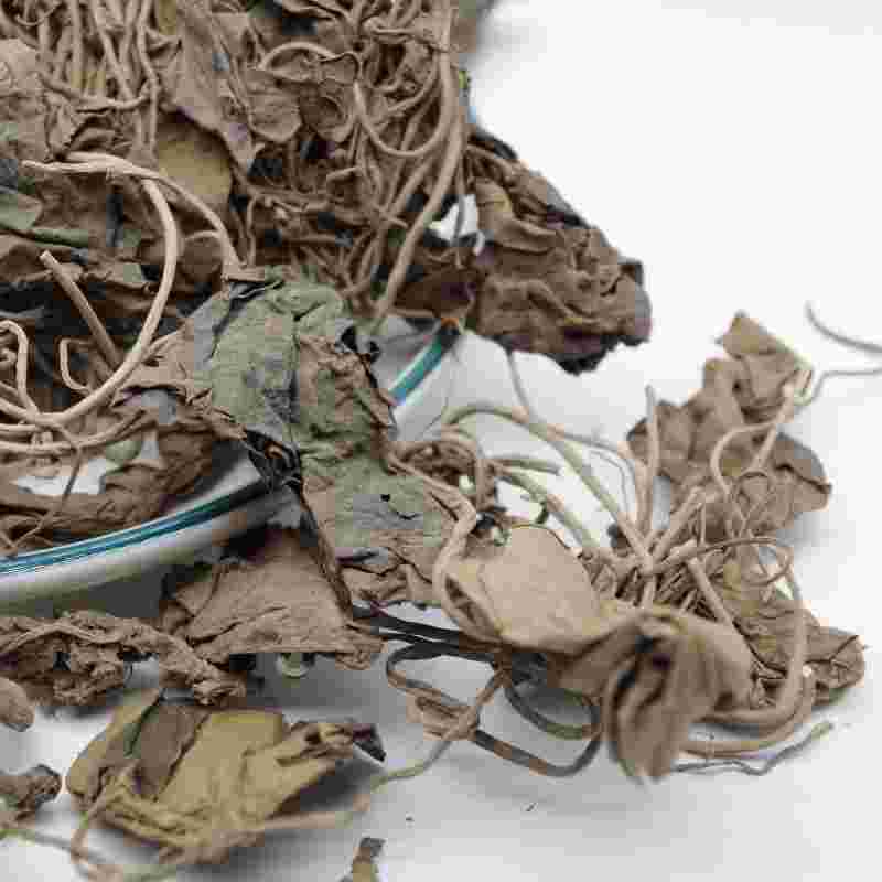 红耳环草药真实图片大全,红耳环草药真实图片大全图-第1张图片-翡翠网