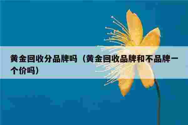 目前黄金回收价格是多少钱一克,目前黄金回收价格是多少钱一克目前泉州一亩地多少钱-第1张图片-翡翠网