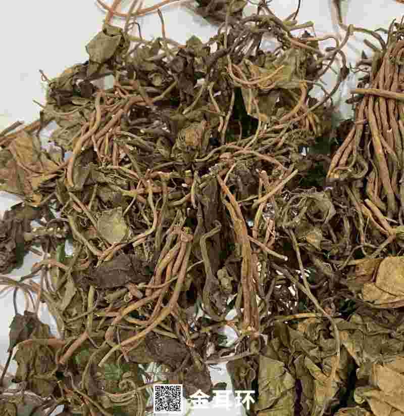 乔木金耳环草药图片大全,乔木金耳环草药图片-第2张图片-翡翠网 乔木金耳环草药图片大全,乔木金耳环草药图片-第2张图片-翡翠网