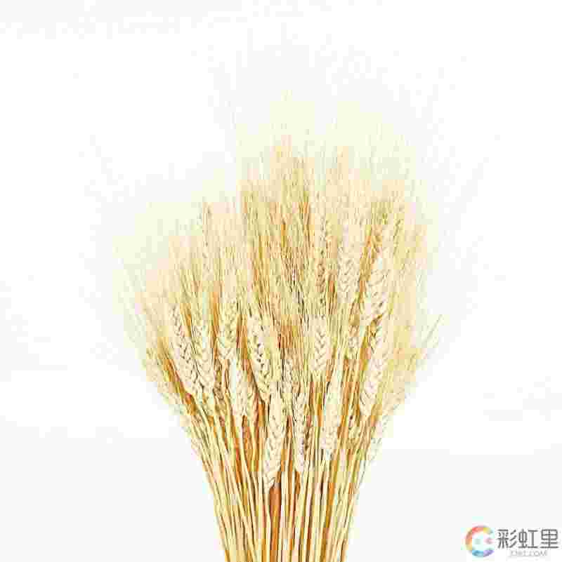 韩国软黄金减肥韩国软黄金-第1张图片-翡翠网 韩国软黄金减肥韩国软黄金-第1张图片-翡翠网