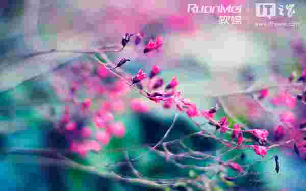 LITTLEDREAMGARDEN的简单介绍-第1张图片-翡翠网 LITTLEDREAMGARDEN的简单介绍-第1张图片-翡翠网