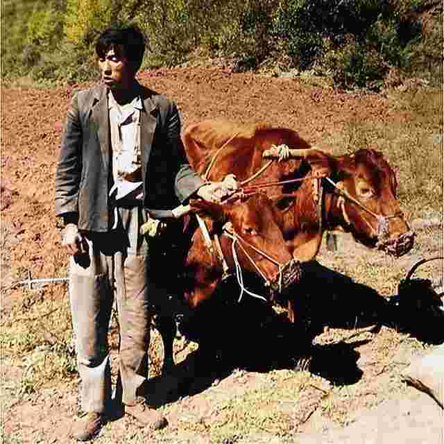 小学生拾得价值16万黄金后续,小学生拾得价值16万黄金后续失主-第1张图片-翡翠网 小学生拾得价值16万黄金后续,小学生拾得价值16万黄金后续失主-第1张图片-翡翠网