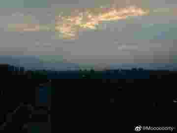 Canster holder,canster-第2张图片-翡翠网 Canster holder,canster-第2张图片-翡翠网