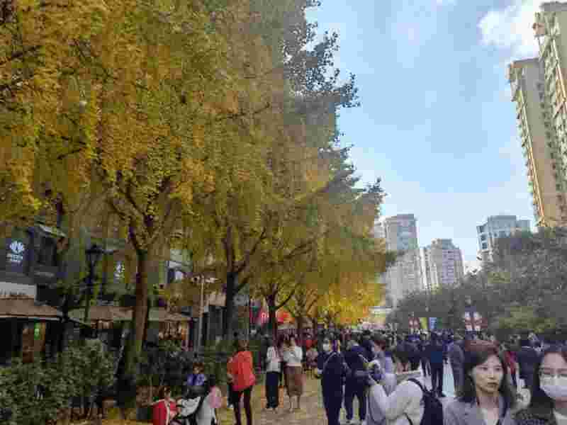 黄金城道500弄,黄金城道-第1张图片-翡翠网