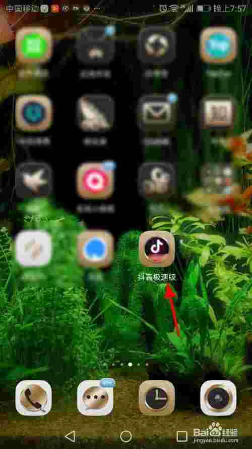 抖音.免费下载,抖音免费下载安装官方最新版手机-第2张图片-翡翠网 抖音.免费下载,抖音免费下载安装官方最新版手机-第2张图片-翡翠网