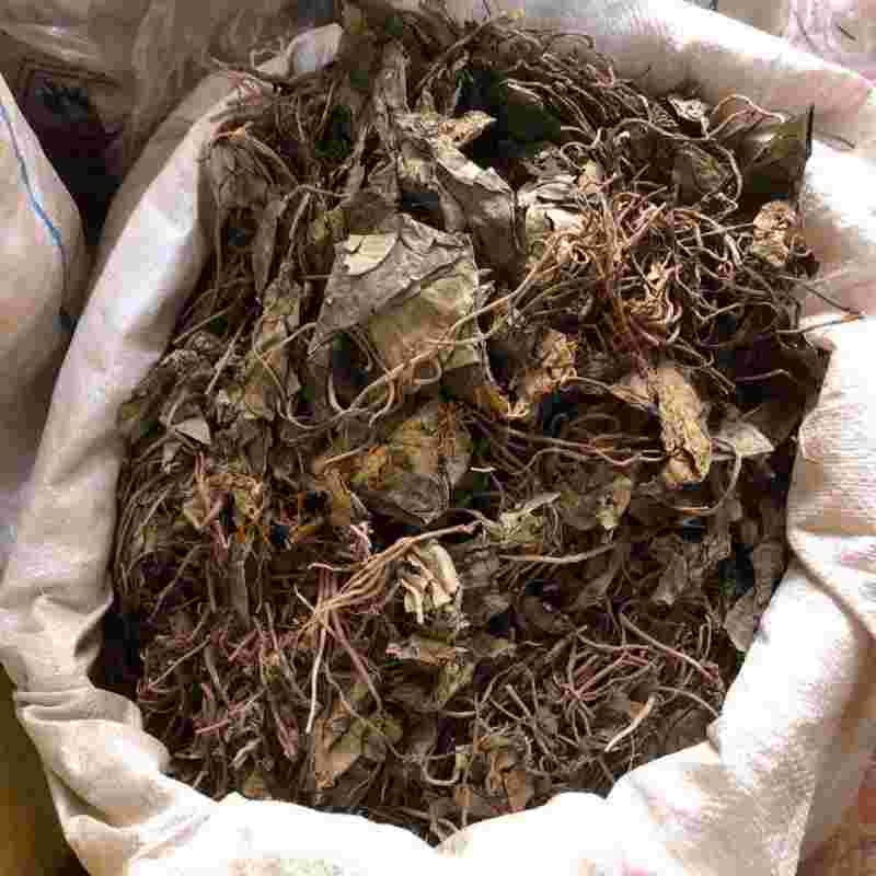 中药金耳环孕妇食用的效果中药金耳环孕妇食用的效果怎么样-第2张图片-翡翠网