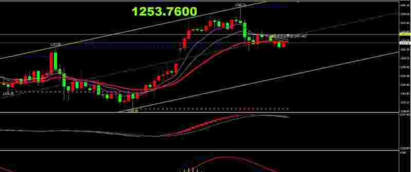 倚天黄金分析软件倚天黄金分析软件是什么-第1张图片-翡翠网