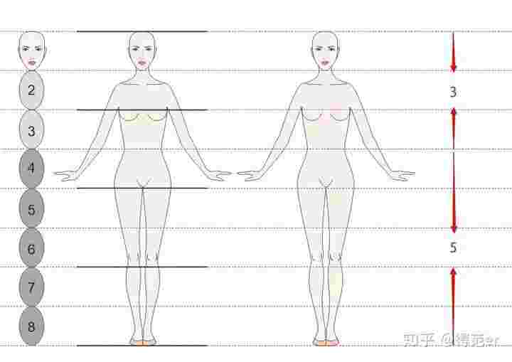 三围黄金比例三围黄金比例多少合适-第2张图片-翡翠网 三围黄金比例三围黄金比例多少合适-第2张图片-翡翠网