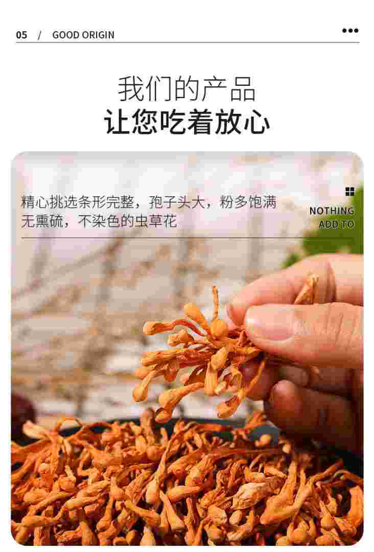 黄金虫草的价位是多少黄金虫草-第2张图片-翡翠网 黄金虫草的价位是多少黄金虫草-第2张图片-翡翠网