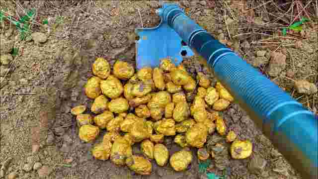 澳大利亚淘金客挖出两块黄金澳大利亚淘金客挖出两块黄金是真的吗-第2张图片-翡翠网 澳大利亚淘金客挖出两块黄金澳大利亚淘金客挖出两块黄金是真的吗-第2张图片-翡翠网