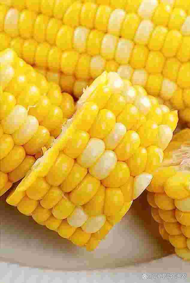 黄金玉米饼怎么做又软又香黄金玉米-第1张图片-翡翠网