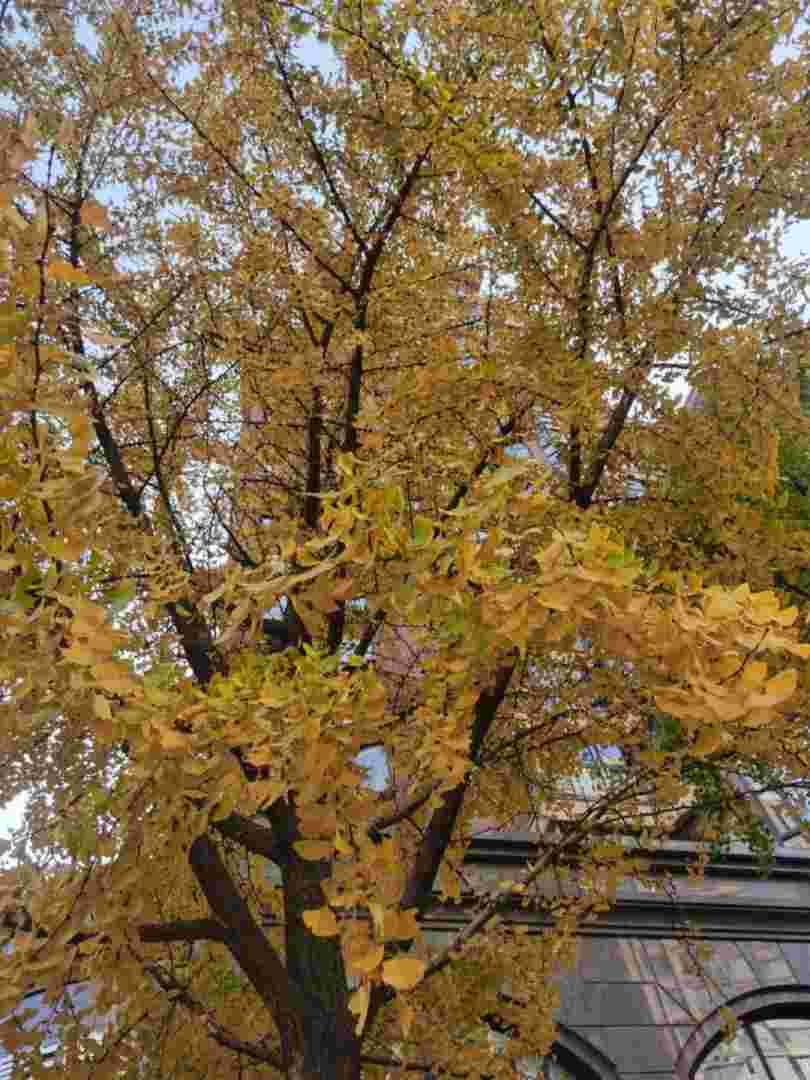 黄金城太阳神殿,黄金太阳神之黄昏-第1张图片-翡翠网 黄金城太阳神殿,黄金太阳神之黄昏-第1张图片-翡翠网