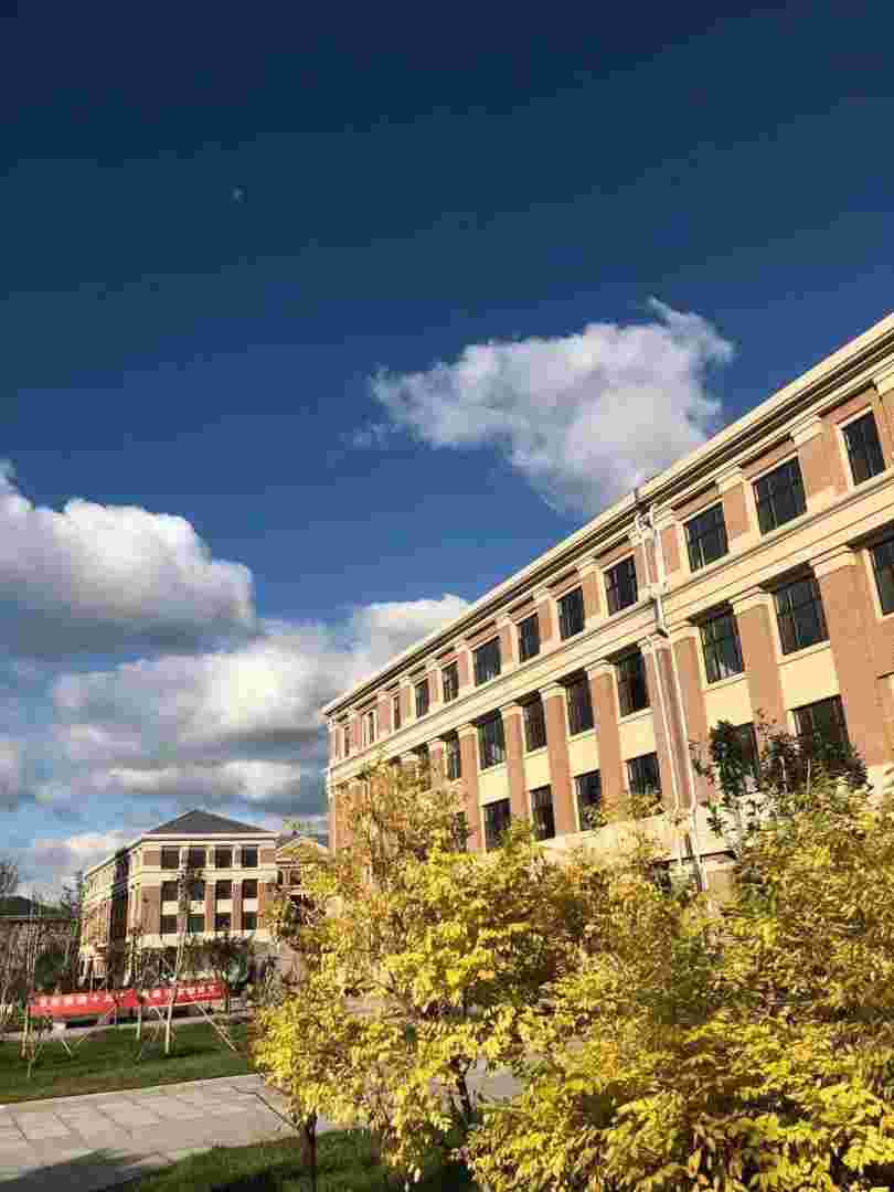 烟台黄金职业学院烟台黄金职业学院是公办还是民办-第1张图片-翡翠网 烟台黄金职业学院烟台黄金职业学院是公办还是民办-第1张图片-翡翠网