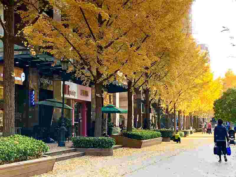 黄金城海贼王剧场版黄金城-第2张图片-翡翠网 黄金城海贼王剧场版黄金城-第2张图片-翡翠网