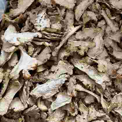 金耳环草药功效与作用,金耳环草药长什么样子的-第1张图片-翡翠网 金耳环草药功效与作用,金耳环草药长什么样子的-第1张图片-翡翠网