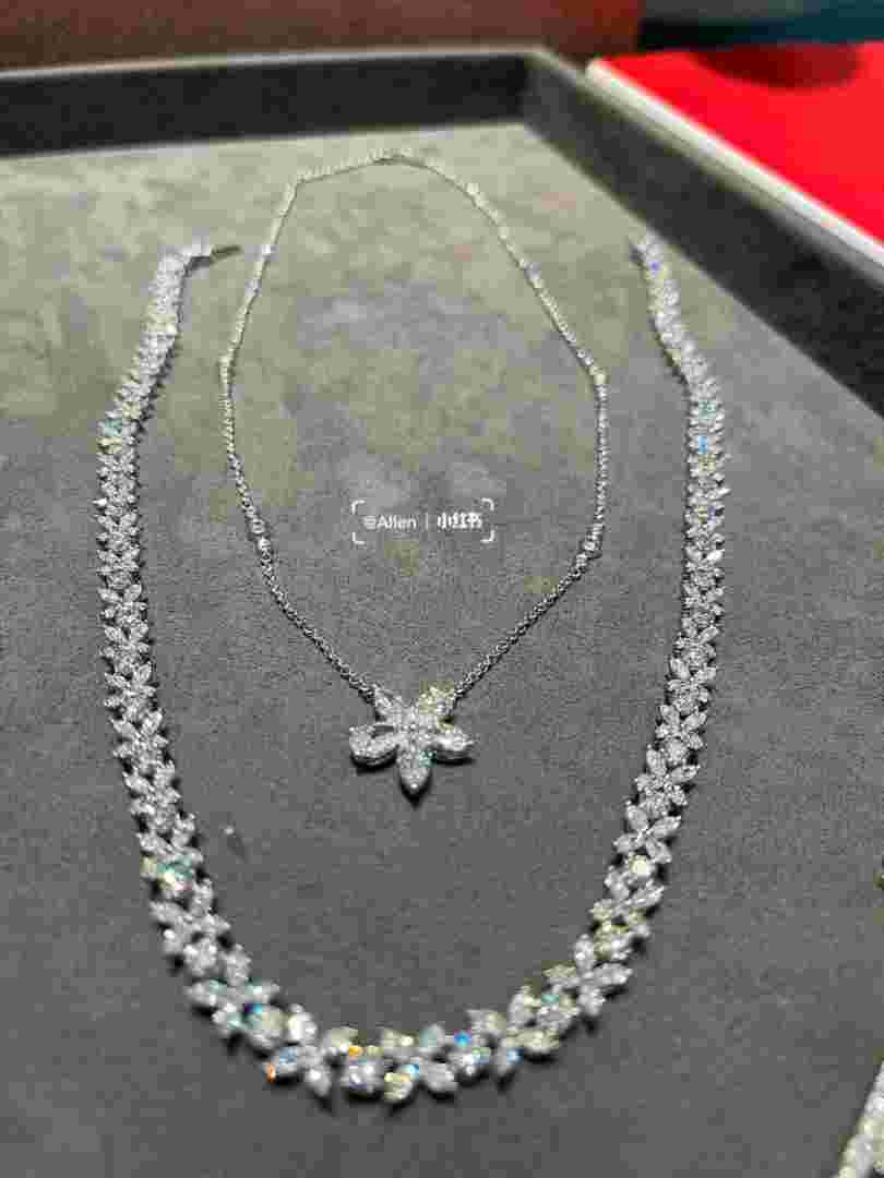 钻石 项链大钻石项链-第1张图片-翡翠网