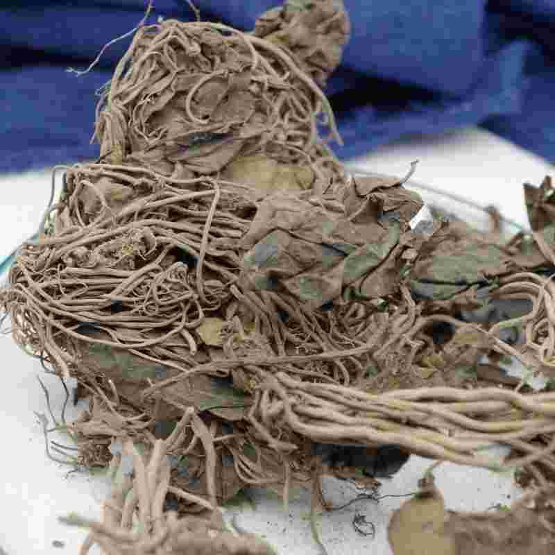 野生草药金耳环,中草药金耳环草-第1张图片-翡翠网 野生草药金耳环,中草药金耳环草-第1张图片-翡翠网