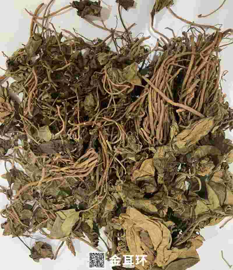 关于金耳环中药治皮肤病用法的信息-第2张图片-翡翠网 关于金耳环中药治皮肤病用法的信息-第2张图片-翡翠网