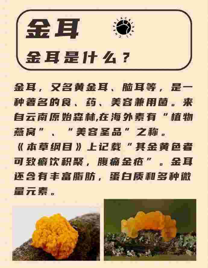 中药金耳环的功效与作用,中药金耳环的功效与作用及禁忌-第2张图片-翡翠网 中药金耳环的功效与作用,中药金耳环的功效与作用及禁忌-第2张图片-翡翠网