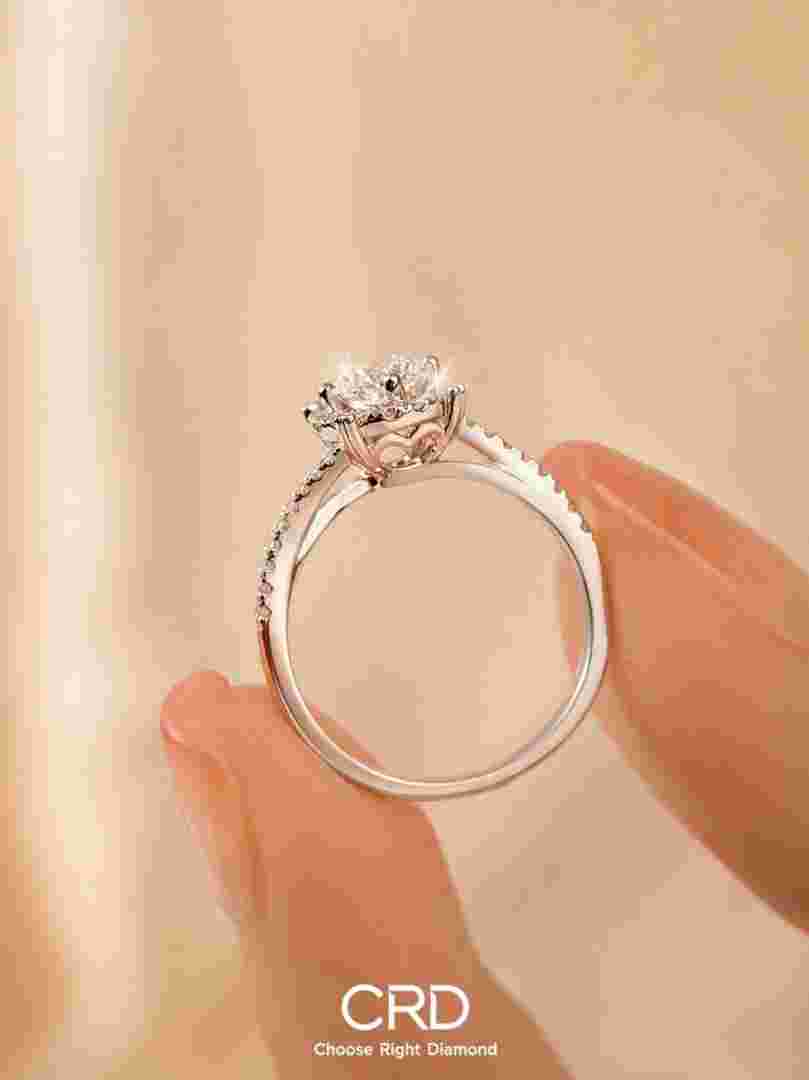 钻戒有哪些钻戒有哪些证书-第1张图片-翡翠网 钻戒有哪些钻戒有哪些证书-第1张图片-翡翠网