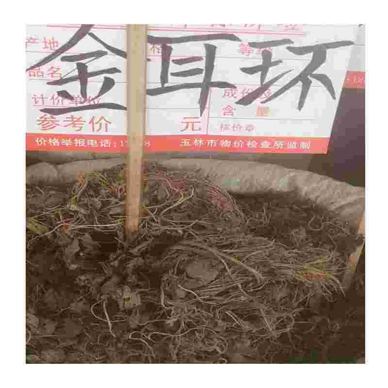 金耳环药材图片以及长的地方的简单介绍-第1张图片-翡翠网
