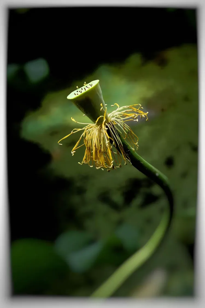 一颗永流传 是什么牌子一颗永留存-第1张图片-翡翠网 一颗永流传 是什么牌子一颗永留存-第1张图片-翡翠网