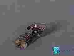 一只银耳环小说一只银耳环小说在线阅读-第1张图片-翡翠网 一只银耳环小说一只银耳环小说在线阅读-第1张图片-翡翠网