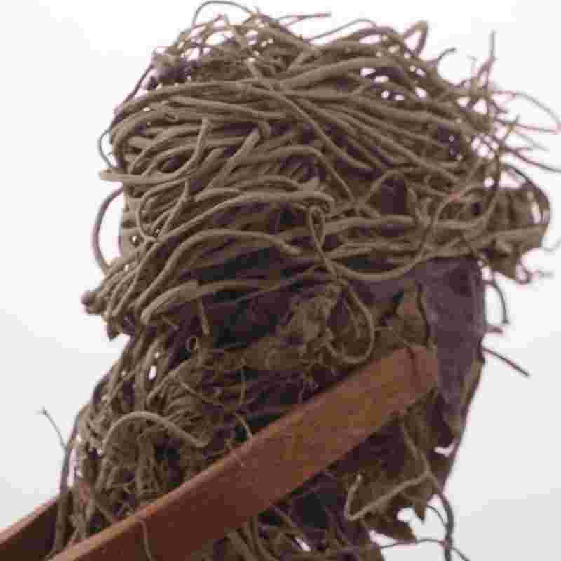 新鲜金耳环草药真实图片,新鲜金耳菌图片-第1张图片-翡翠网 新鲜金耳环草药真实图片,新鲜金耳菌图片-第1张图片-翡翠网